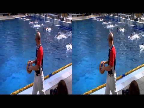 (WP 3-DIV MAD) 02-03-13 Canoe B - Pozuelo (cuartos 1 y 2)