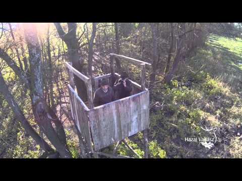 HAZAI VADÁSZ - Madárszemmel - Gemenc: NIMRÓD Percek