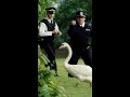 The Swan S Escaped Hot Fuzz 2007 Screen Bites Shorts