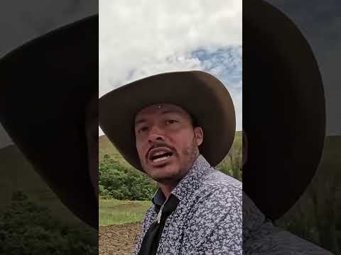 UM VERSO COMO ESSE VOCE NUNCA VIU ! DOM VIÇOSO MG