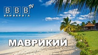 Ссылка
