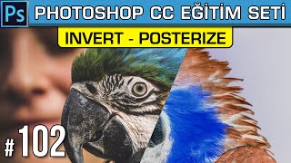 102: Invert (Ters Çevir) - Posterize Adjustment Layer | Photoshop Dersleri Eğitim Seti