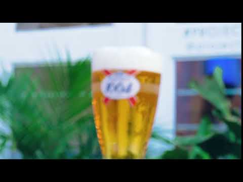 Kronenbourg 1664 Lager
