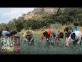 wedapiliwela-10-09-2018
