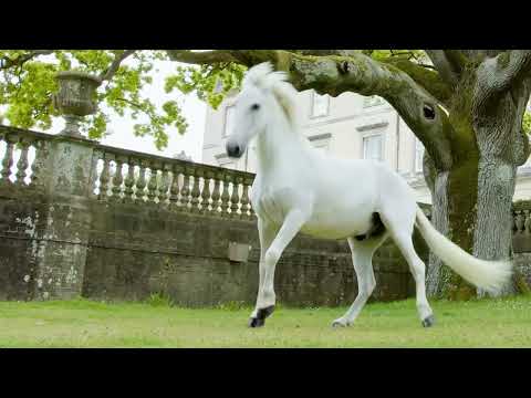 Parfum Creed Aventus