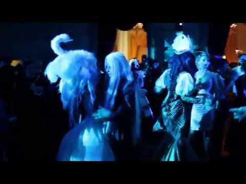 Gala Nocturna 2015 - The Swan Princess