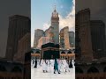 Wo Tanha Kon Hai Allah Ho Allah Shorts Wotanhakonhai