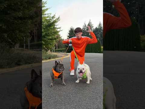 Dual Untangle Dog Leash