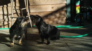 loop from Lucero - Sometimes. . . and the dogs