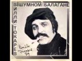 Villi Tokarev "Vory Gumanisty" 
