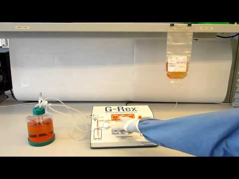 G Rex OFFICIAL REVISION 2 VIDEO