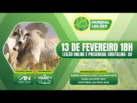 LEILÃO AO VIVO - MUNDIAL LEILÕES A MÃO DE DEUS ESTA AQUI - CRISTALINA GO - 13/02/2026