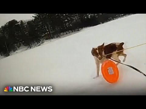 Dog Helps Rescue Her Owner From A Frozen Lake - Mix 103.1