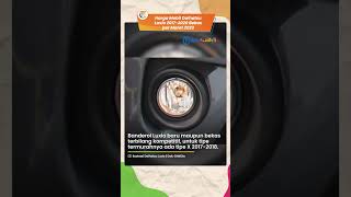 Harga Mobil Daihatsu Luxio 2017-2020 Bekas per Maret 2023