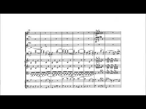 Schumann - cello concerto in A minor Op.129 (1850) II Movement