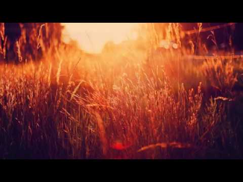 Liquid Fraction - MR Sun - Ambient IDM Mix - Revised & Remastered