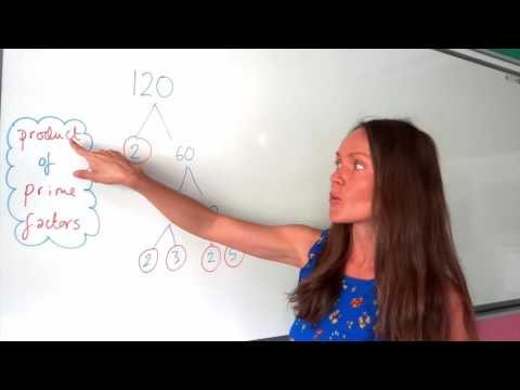 The Maths Prof: Product of Prime Factors