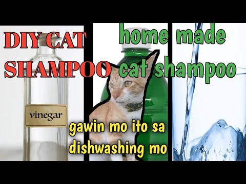DIY cat shampoo, home made cat shampoo, effective for cat flea, alyana and mommy meann vlog.