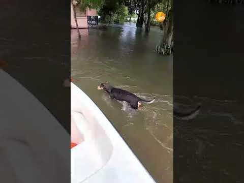CHACO: EVACUAN A VECINOS DE PUERTO VILELAS