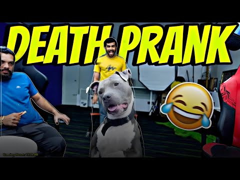 Death 💀 Prank On Simba 😂