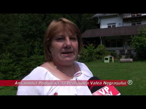 Ansamblul Podgoriţa, la Pensiunea Valea Negraşului (P)