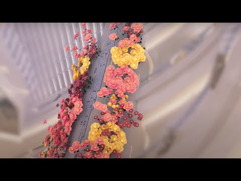 Embrace The New - ION Orchard