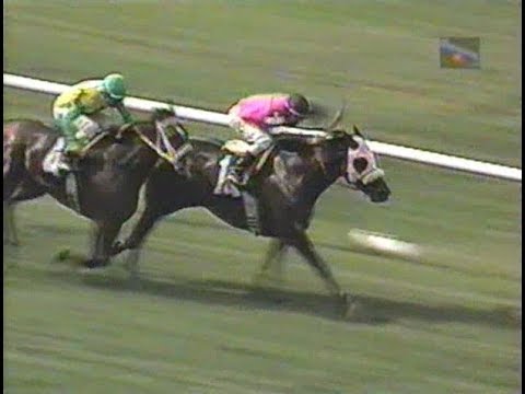 1996 Honey Fox Handicap