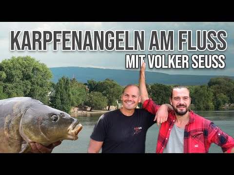 Karpfenangeln am Fluss - Mit Volker Seuss