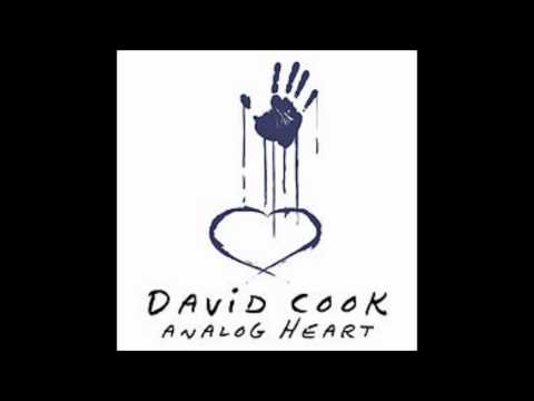 Fall Back Into Me - David Cook