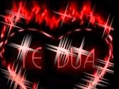 zhani isha e re u dashurova