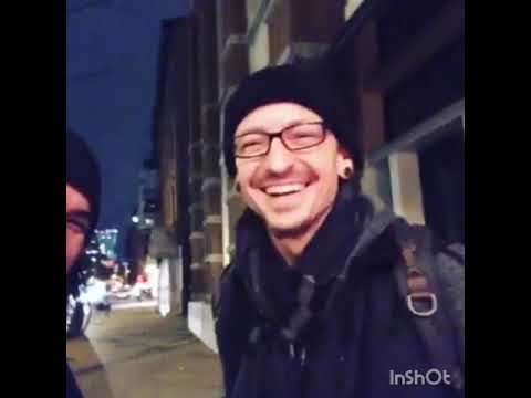 Chester - funny and cute