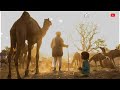 Rajasthani Status