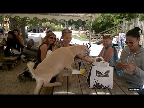 Сафари-парк Туари