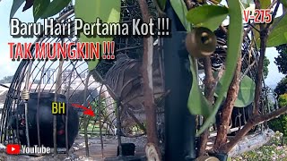 Download lagu ๐ฅ๐ฅAJAIB Merbuk Taman !!! Hari Pertama Kot Masuk Laman !!! C Cedok mp3 Download lagu ๐ฅ๐ฅAJAIB Merbuk Taman !!! Hari Pertama Kot Masuk Laman !!! C Cedok mp3