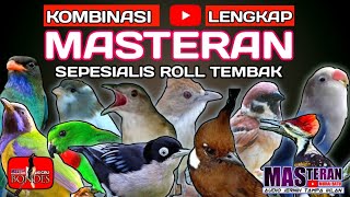 Download lagu masteran murai batu,kompilasi full isian materi mewah.. mp3 Download lagu masteran murai batu,kompilasi full isian materi mewah.. mp3