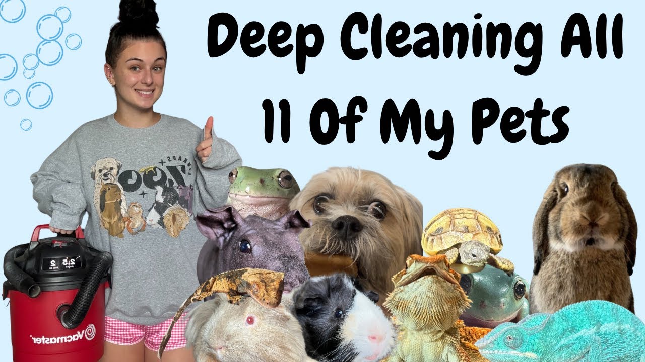 Deep Clean ALL My Pets With Me!!