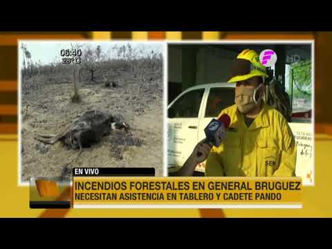 80% de Cadete Pando se quemó este miércoles
