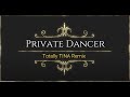 Private Dancer Totally TINA:LJ Remix