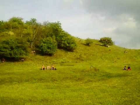 OZORA 2009 - Hallucinogen - LSD