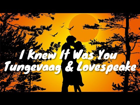 Tungevaag & Lovespeake – I Knew It Was You (Lyrics) 💗♫