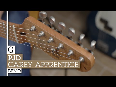 PJD Guitars Carey Apprentice image 7