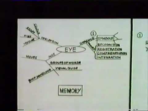 Use Your Head Episode 5 Part 2 - In-formation