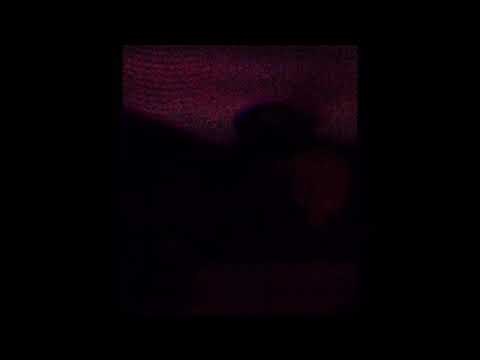 YANG YAN - LITTY (MUSIC VIDEO)