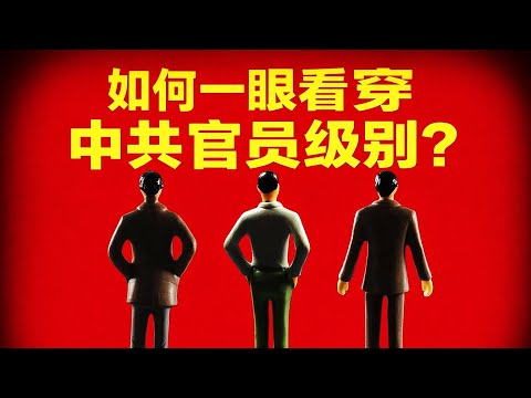 如何一眼看穿中国官员级别？别再被头衔骗了，中国官员级别全解析
