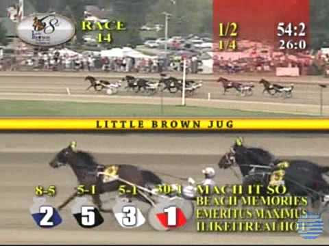Lucan Hanover -  2013 Little Brown Jug - Elimination 2