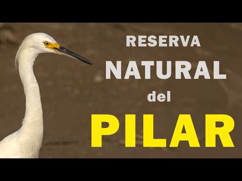 Visita a la Reserva Natural de Pilar
