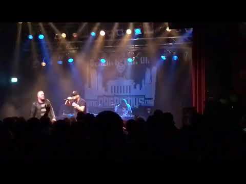 MC Bogy - Frauenarzt Gladhouse Cottbus