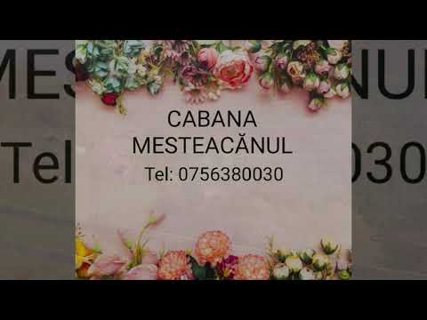 𝓒𝓪𝓫𝓪𝓷𝓪 𝓜𝓮𝓼𝓽𝓮𝓪𝓬𝓪𝓷𝓾𝓵  𝓜𝓪𝓰𝓾𝓻𝓲 𝓡𝓪𝓬𝓪𝓽𝓪𝓾