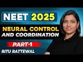 Neural Control Coordination Explained Easy Clear NeuralControlAndCoordination Neet