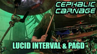 Let's play a show with no clic, no trigger - CEPHALIC CARNAGE LIVE AT OBSCENE EXTREME FESTIVAL